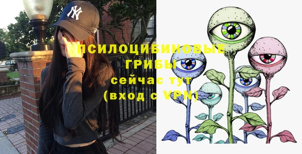 ALPHA PVP Протвино