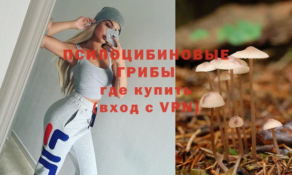 ПСИЛОЦИБИНОВЫЕ ГРИБЫ Пролетарск
