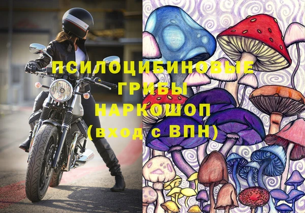 ПСИЛОЦИБИНОВЫЕ ГРИБЫ Пролетарск