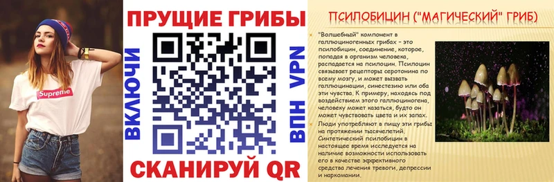 Псилоцибиновые грибы Cubensis  Купить где  Уварово 